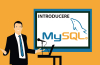 Introducere în MySQL